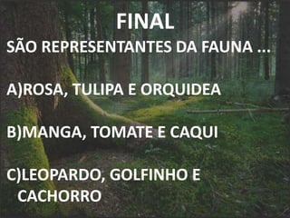 FINAL
SÃO REPRESENTANTES DA FAUNA ...
A)ROSA, TULIPA E ORQUIDEA
B)MANGA, TOMATE E CAQUI
C)LEOPARDO, GOLFINHO E
CACHORRO
 