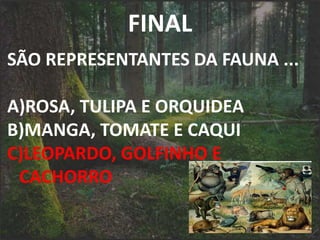 FINAL
SÃO REPRESENTANTES DA FAUNA ...
A)ROSA, TULIPA E ORQUIDEA
B)MANGA, TOMATE E CAQUI
C)LEOPARDO, GOLFINHO E
CACHORRO
 