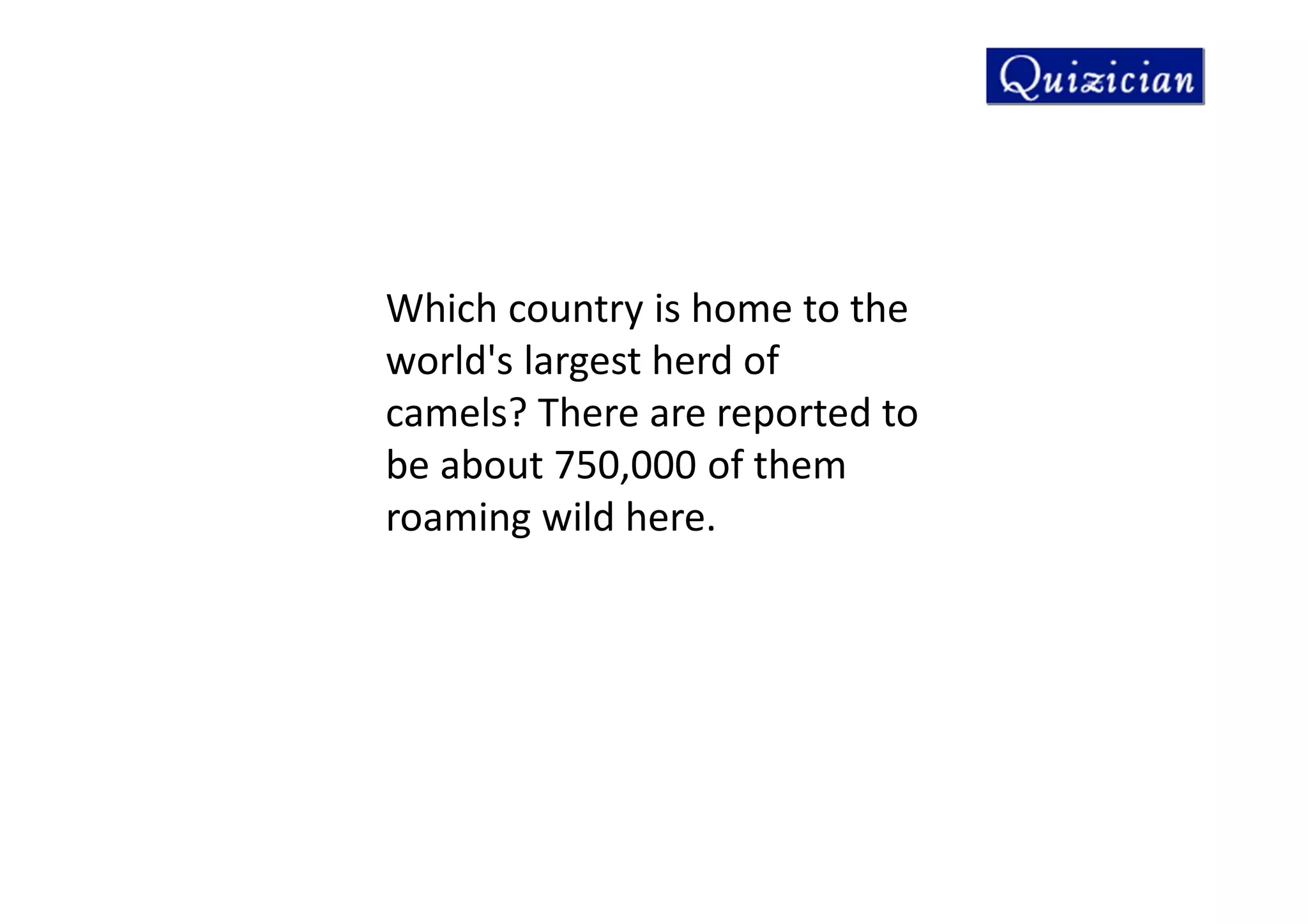 Which country is home to the
world's largest herd of
camels? There are reported to
be about 750,000 of them
roaming wild here.
 