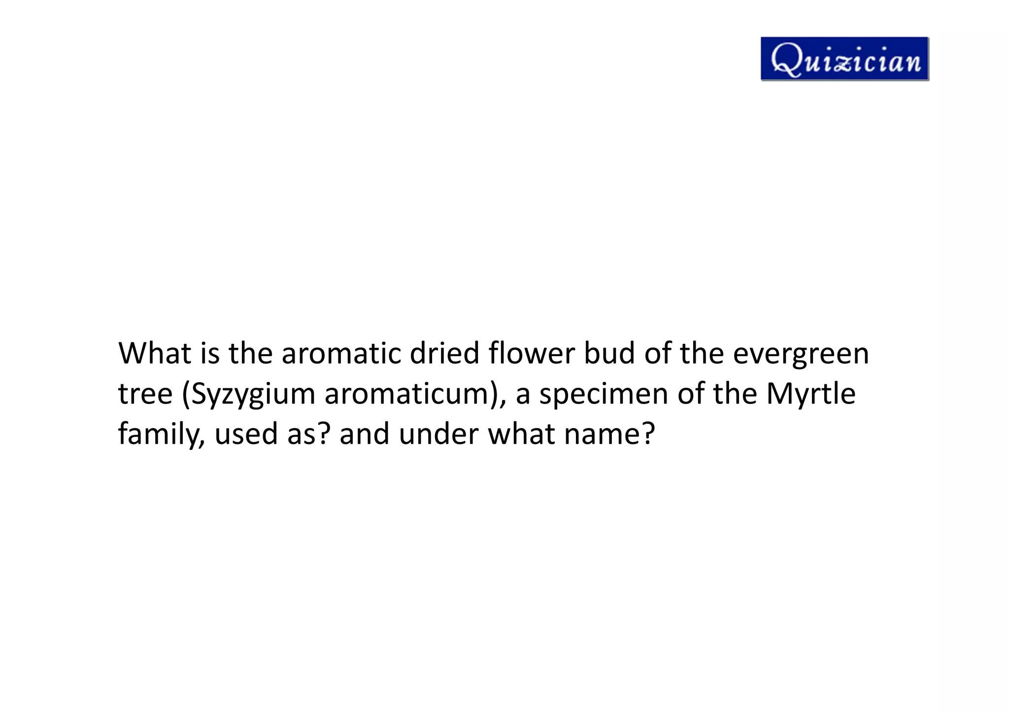 What is the aromatic dried flower bud of the evergreen
tree (Syzygium aromaticum), a specimen of the Myrtle
family, used as? and under what name?
 