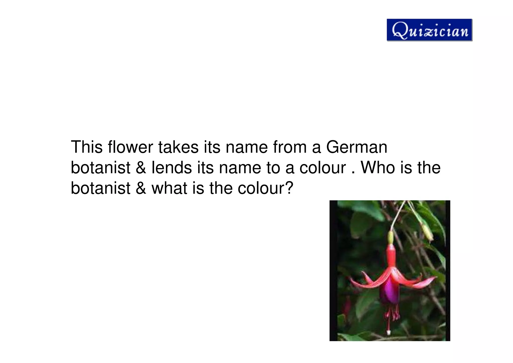 This flower takes its name from a German
botanist & lends its name to a colour . Who is the
botanist & what is the colour?
 