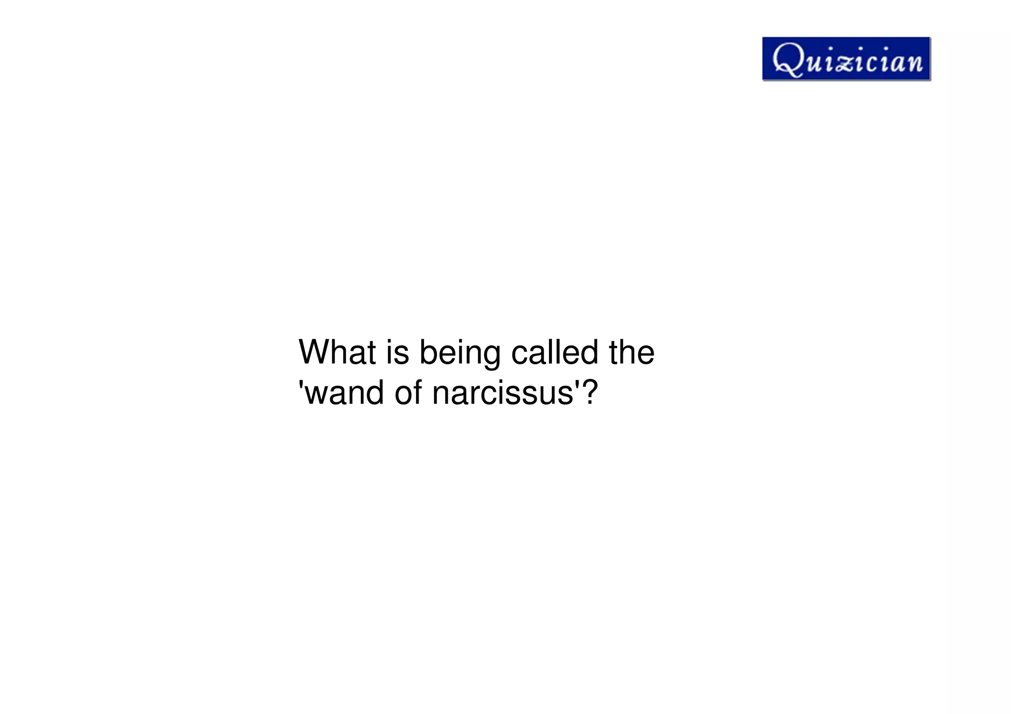 What is being called the
'wand of narcissus'?
 