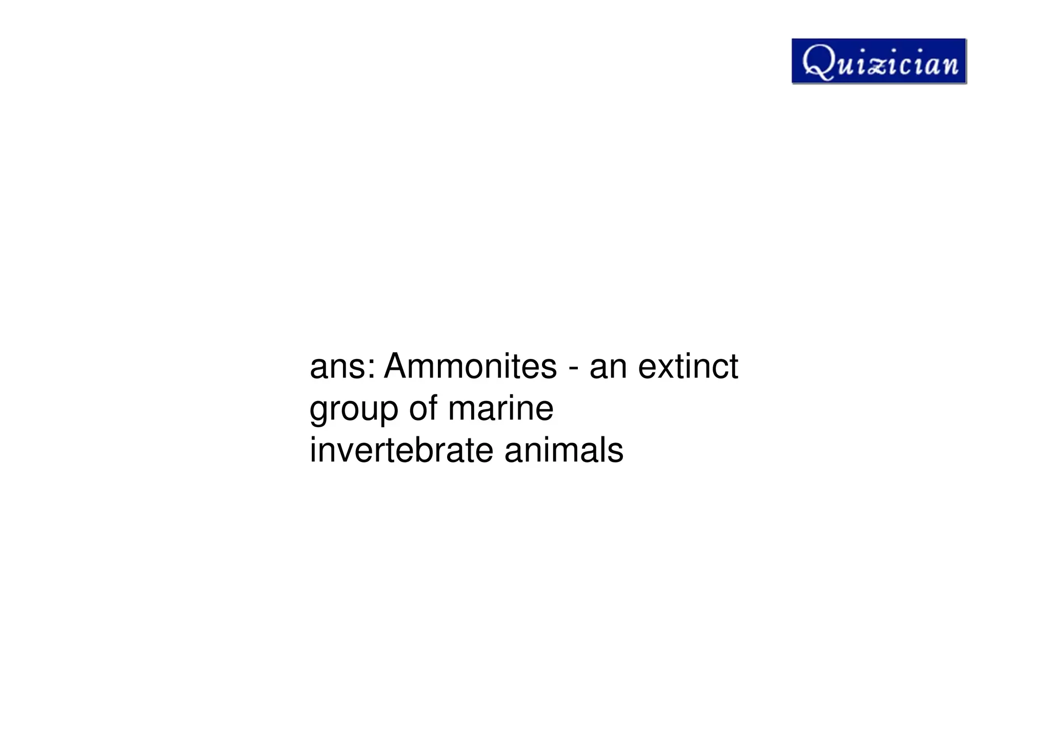 ans: Ammonites - an extinct
group of marine
invertebrate animals
 