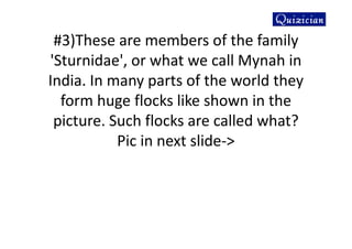 #3)These are members of the family
'Sturnidae', or what we call Mynah in
India. In many parts of the world they
form huge flocks like shown in the
picture. Such flocks are called what?
Pic in next slide->
 