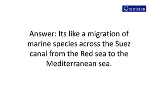 Answer: Its like a migration of
marine species across the Suez
canal from the Red sea to the
Mediterranean sea.
 
