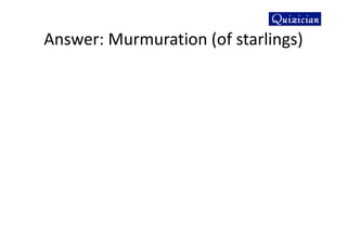 Answer: Murmuration (of starlings)
 