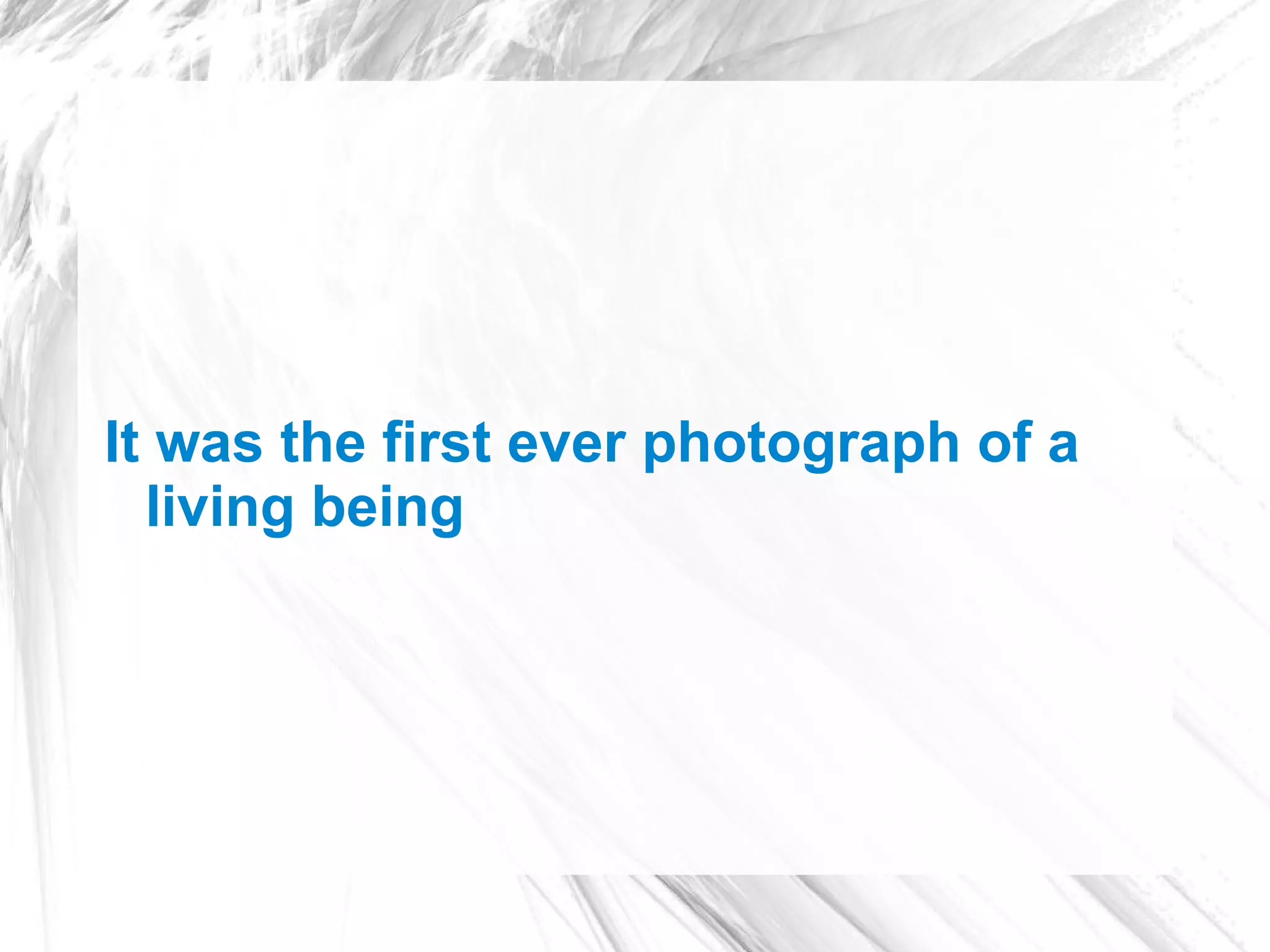 It was the first ever photograph of a
  living being
 