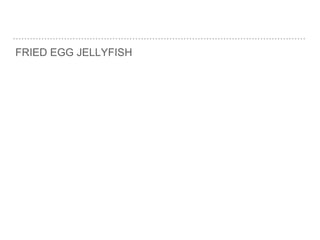 FRIED EGG JELLYFISH
 