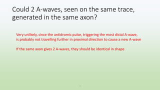 Could 2 A-waves, seen on the same trace,
generated in the same axon?
1
Very unlikely, since the antidromic pulse, triggering the most distal A-wave,
is probably not travelling further in proximal direction to cause a new A-wave
If the same axon gives 2 A-waves, they should be identical in shape
 