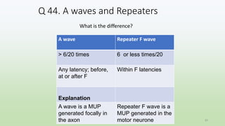 Q 44. A waves and Repeaters
What is the difference?
A wave Repeater F wave
> 6/20 times 6 or less times/20
Any latency; before,
at or after F
Within F latencies
Explanation
A wave is a MUP
generated focally in
the axon
Repeater F wave is a
MUP generated in the
motor neurone 83
 
