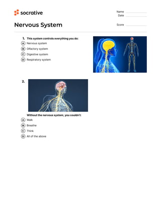 Name  
Date  
Nervous System Score  
1. This system controls eve ything you do:
2.
Without the ne vous system, you couldn’t:
Ne vous system
A
Olfacto y system
B
Digestive system
C
Respirato y system
D
Walk
A
Breathe
B
Think
C
All of the above
D
 