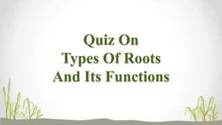 Quiz On
Types Of Roots
And Its Functions
 