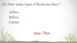 Quiz on types of roots and their Function | PPTX