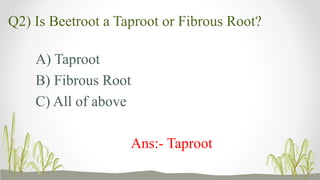 Taproot Questions Quiz on types of roots and their Function | PPTX