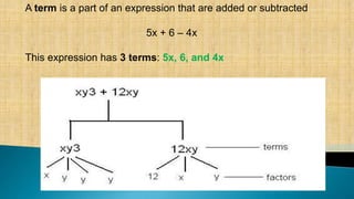 Quiz on Algebraic Expression - 7.pptx