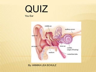 QUIZ
You Ear




  By: ANNIKA LEA SCHULZ
 