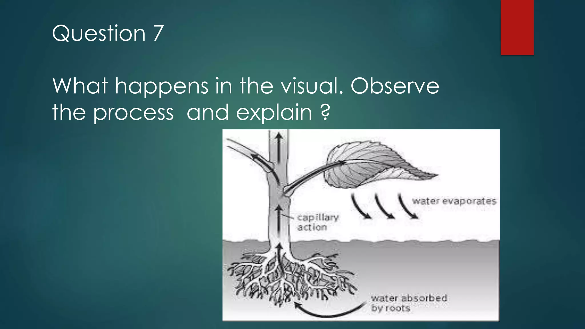 Question 7
What happens in the visual. Observe
the process and explain ?
 