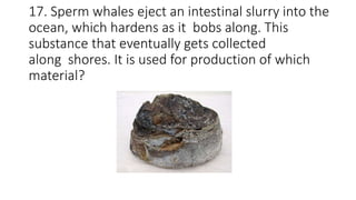 17. Sperm whales eject an intestinal slurry into the
ocean, which hardens as it bobs along. This
substance that eventually gets collected
along shores. It is used for production of which
material?
 
