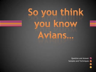 So you think you know Avians… Question and Answer  Samples and Techniques 