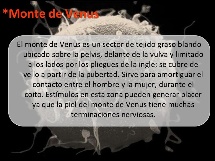 Genitales femeninos externos Genitales femeninos externos