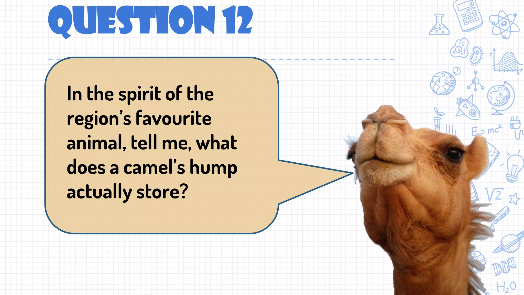 Question 12
In the spirit of the
region’s favourite
animal, tell me, what
does a camel’s hump
actually store?
 