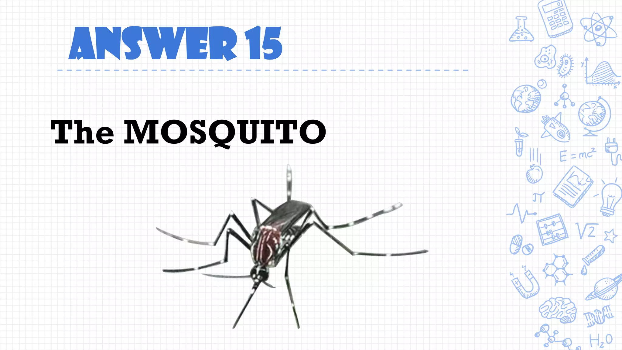 Answer 15
The MOSQUITO
 