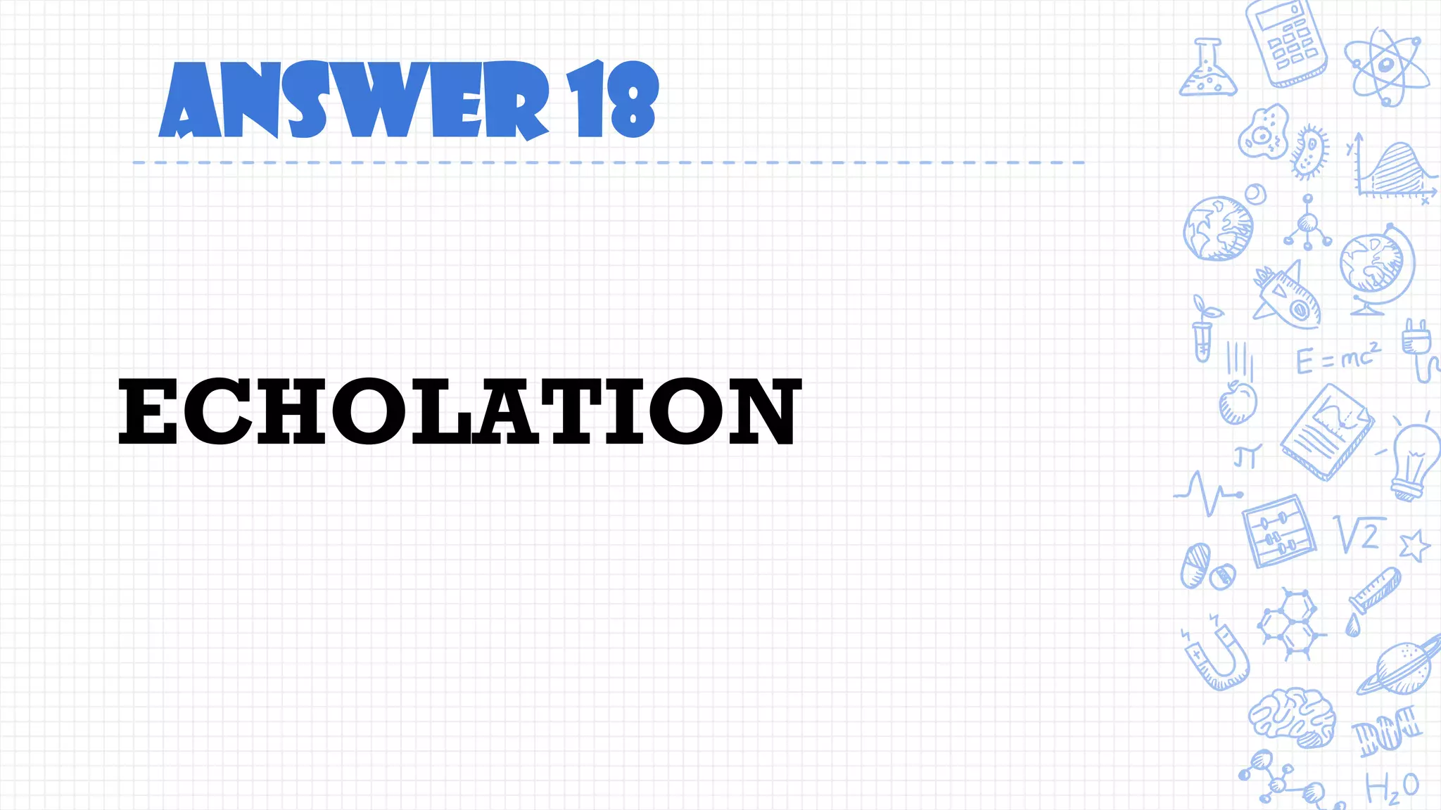 Answer 18
ECHOLATION
 