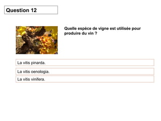 Quelle espèce de vigne est utilisée pour 
produire du vin ? 
Question 12 
La vitis pinarda. 
La vitis oenologia. 
La vitis vinifera. 
 