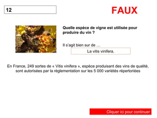 FAUX 
Quelle espèce de vigne est utilisée pour 
produire du vin ? 
12 
Il s’agit bien sur de … 
La vitis vinifera. 
En France, 249 sortes de « Vitis vinifera », espèce produisant des vins de qualité, 
sont autorisées par la règlementation sur les 5 000 variétés répertoriées 
Cliquer ici pour continuer 
 