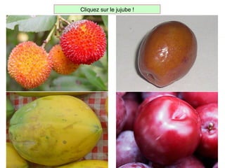 Cliquez sur le jujube !
 