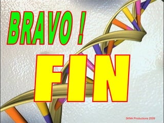 5KNA Productions 2009
 