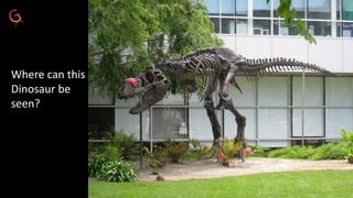 Where can this
Dinosaur be
seen?
 