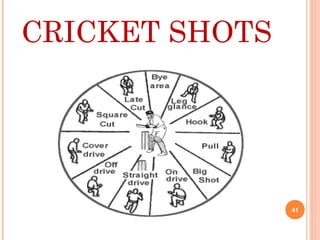 CRICKET SHOTS
41
 