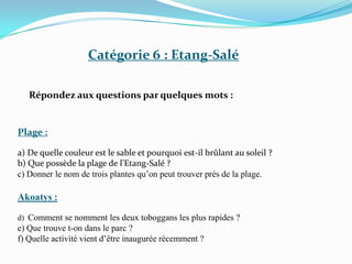 Catégorie 6 : Etang-Salé
Répondez aux questions par quelques mots :
Plage :
a) De quelle couleur est le sable et pourquoi est-il brûlant au soleil ?
b) Que possède la plage de l’Etang-Salé ?
c) Donner le nom de trois plantes qu’on peut trouver près de la plage.
Akoatys :
d) Comment se nomment les deux toboggans les plus rapides ?
e) Que trouve t-on dans le parc ?
f) Quelle activité vient d’être inaugurée récemment ?
 