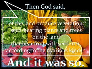 Then God said,
Let the land produce vegetation:*
seed-bearing plants and trees
on the land
that bear fruit with seed in it,
according to their various kinds.*
And it was so.
 