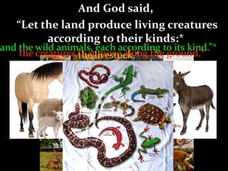 And God said,
“Let the land produce living creatures
according to their kinds:*
and the wild animals, each according to its kind.”*
the creatures that move along the ground,*the livestock,*
And it was so.
 