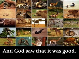 God made the wild animals*
according to their kinds, the
livestock *
according to their kinds,
and all the creatures that
move along the ground*
according to their kinds*.
And God saw that it was good.
 