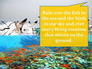 Rule over the fish in
the sea and the birds
in the sky and over
every living creature
that moves on the
ground.
 