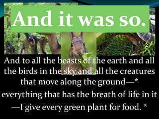 And it was so.
And to all the beasts of the earth and all
the birds in the sky and all the creatures
that move along the ground—*
everything that has the breath of life in it
—I give every green plant for food. *
 