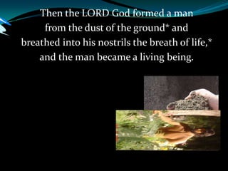 Then the LORD God formed a man
from the dust of the ground* and
breathed into his nostrils the breath of life,*
and the man became a living being.
 
