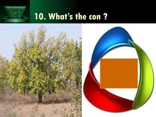 10. What’s the con ? 