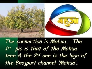 The connection is Mahua . The 1 st   pic is that of the Mahua tree & the 2 nd  one is the logo of the Bhojpuri channel ‘Mahua’. 