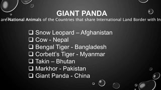 GIANT PANDA
are National Animals of the Countries that share International Land Border with Ind
 Snow Leopard – Afghanistan
 Cow - Nepal
 Bengal Tiger - Bangladesh
 Corbett’s Tiger - Myanmar
 Takin – Bhutan
 Markhor - Pakistan
 Giant Panda - China
 