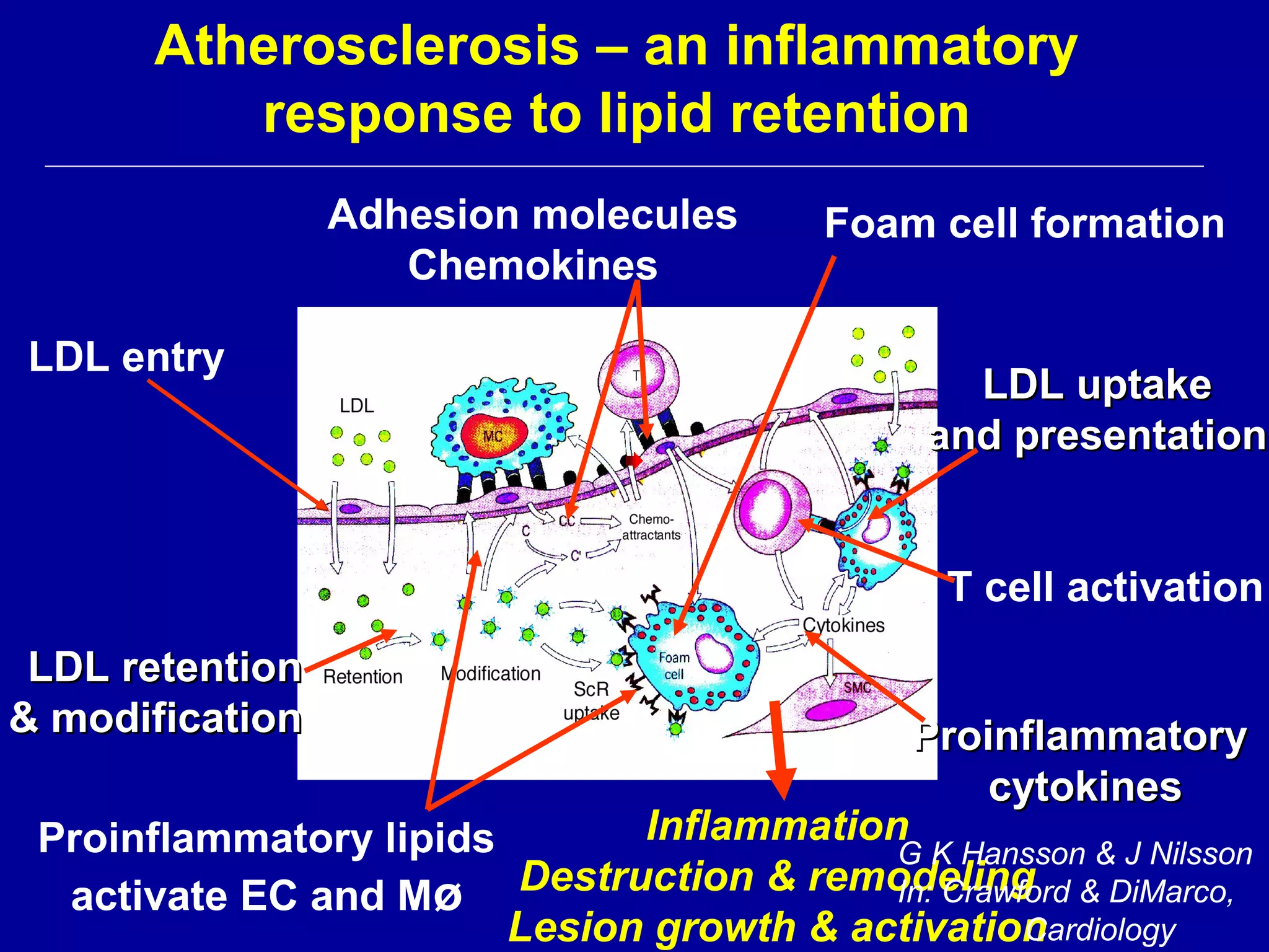 Aeha immune mechanisms in atherosclerosis | PPT