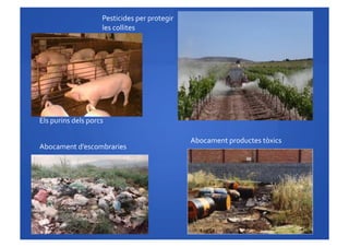 Pesticides	
 per	
 protegir	
 
les	
 collites	
 
Abocament	
 d’escombraries	
 
Abocament	
 productes	
 tòxics	
 
Els	
 purins	
 dels	
 porcs	
 
 