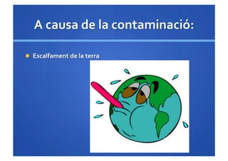 Què li passa a la terra?