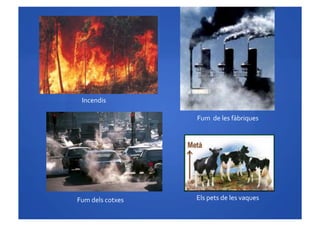 Incendis	
 
	
 	
 	
 	
 	
 	
 	
 	
 	
 	
 Fum	
 	
 de	
 les	
 fàbriques	
 
Fum	
 dels	
 cotxes	
  Els	
 pets	
 de	
 les	
 vaques	
 
 