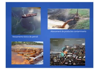 Vessaments	
 tòxics	
 de	
 petroli	
 
	
 	
 	
 	
 	
 Abocament	
 de	
 productes	
 contaminants	
 
 