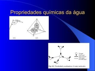 Propriedades químicas da água 