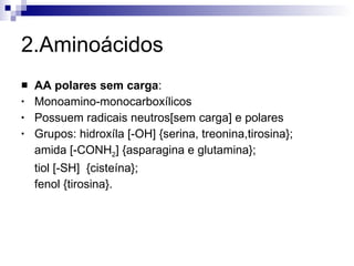 2.Aminoácidos AA polares sem carga : Monoamino-monocarboxílicos Possuem radicais neutros[sem carga] e polares Grupos: hidroxíla [-OH] {serina, treonina,tirosina}; amida [-CONH 2 ] {asparagina e glutamina}; tiol [-SH]  {cisteína}; fenol {tirosina}. 